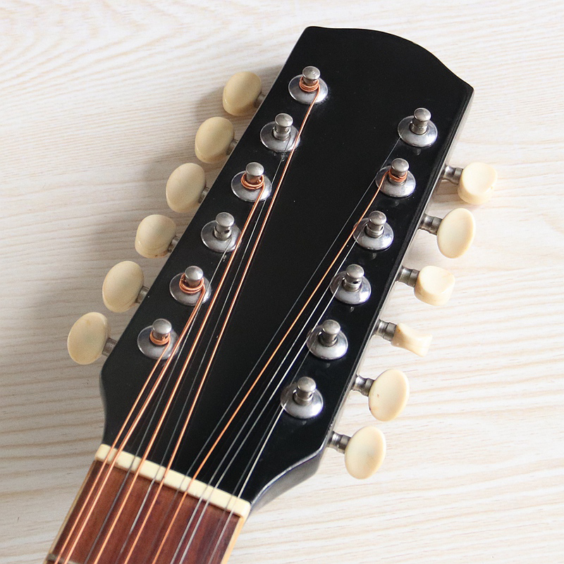 Violão Eletroacústico de 12 Co - Dobro Resonator Guitar avaliação e preço